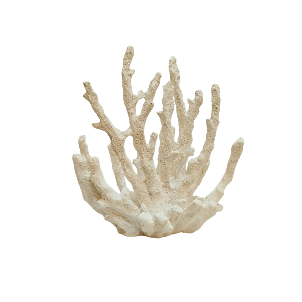 ESCULTURA CORAL - FLORARTE