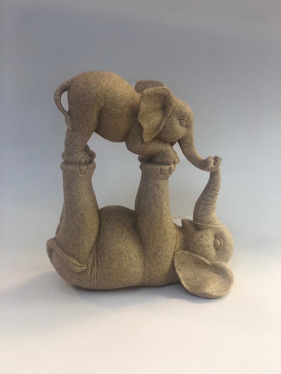 Elefante com Filhote sobre Patas