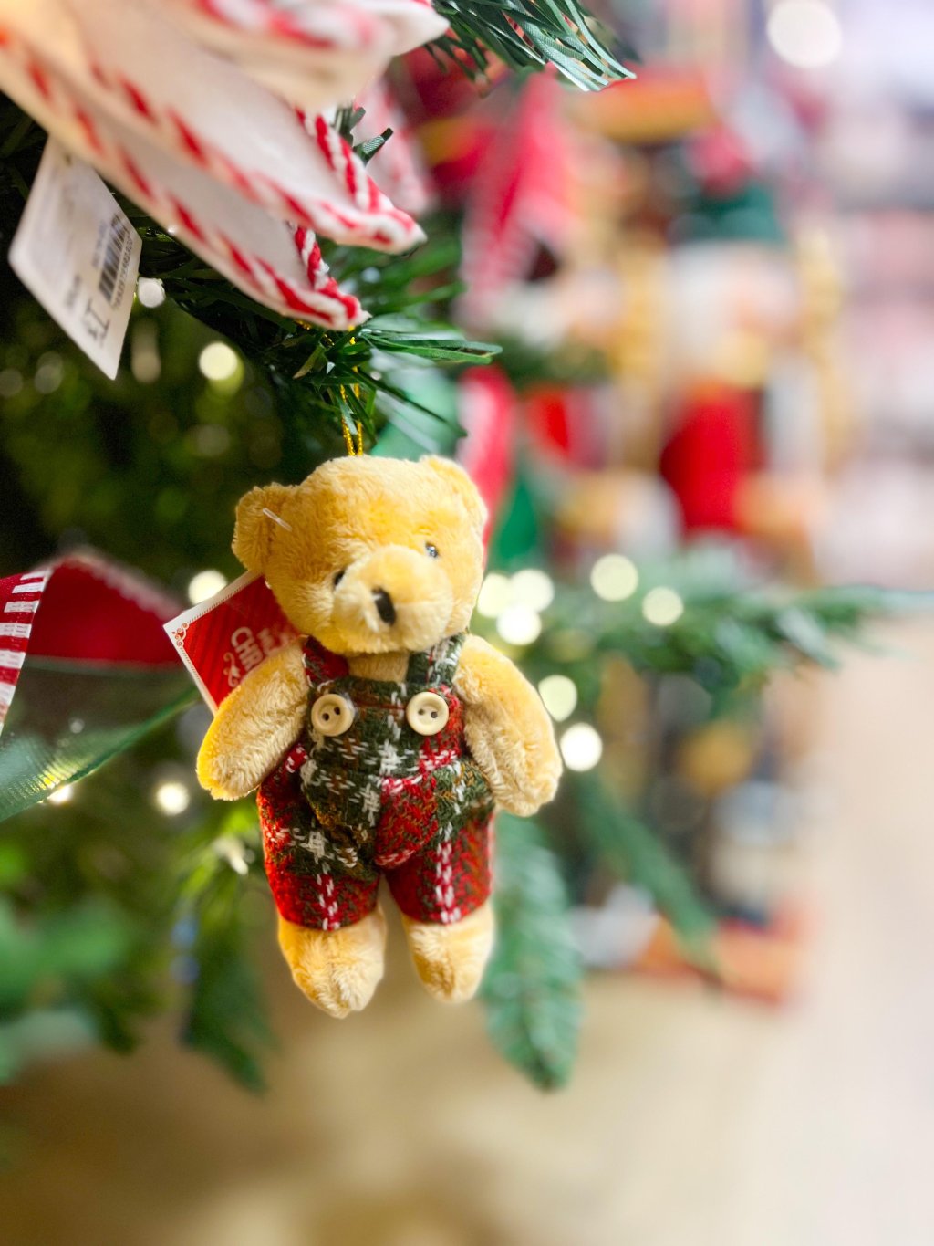 Urso natalino 