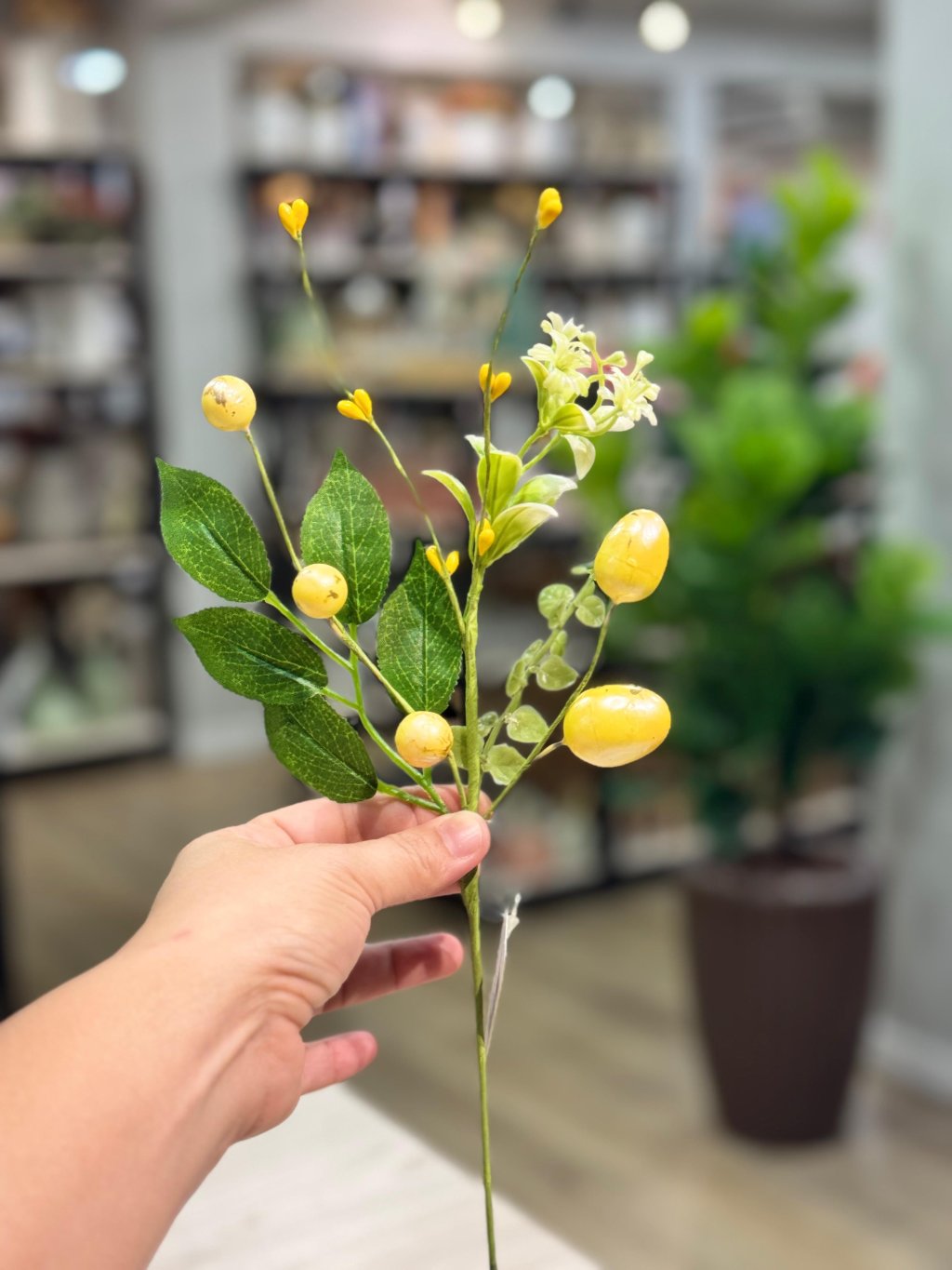 Pick de Páscoa BG510253