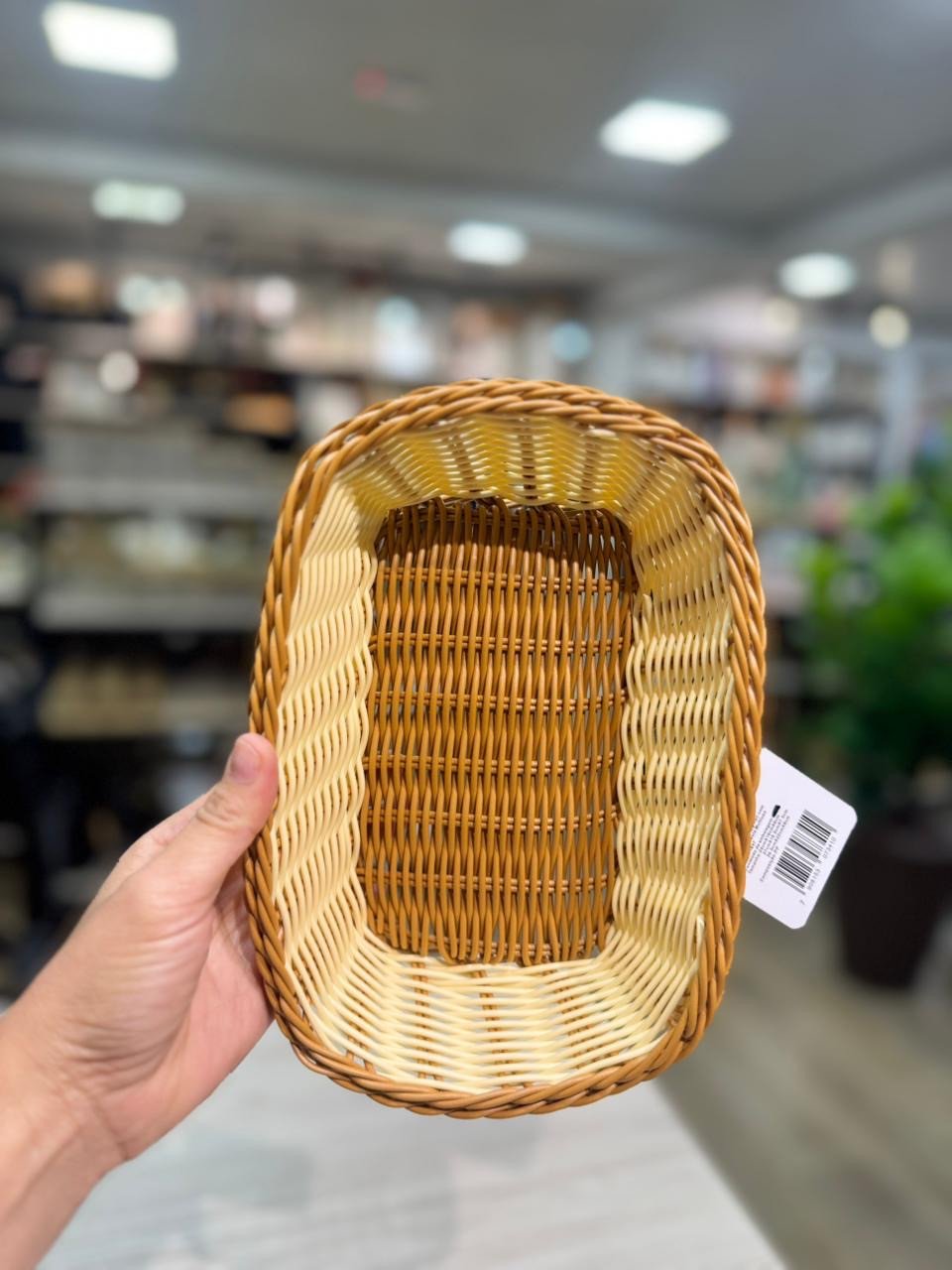 CESTO RETANGULAR DE PLÁSTICO 24x16x6CM P REF 1647