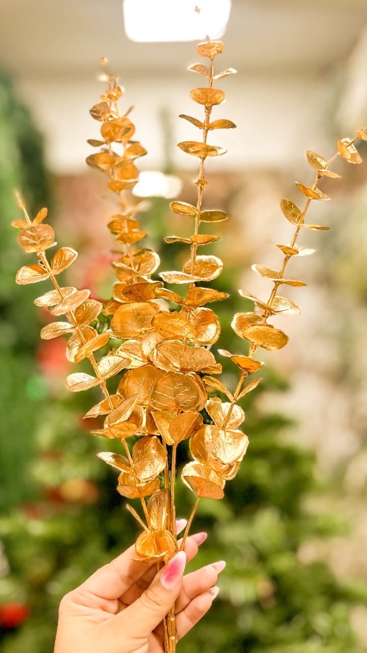C.Eucalipto dourado 80CM 44573001