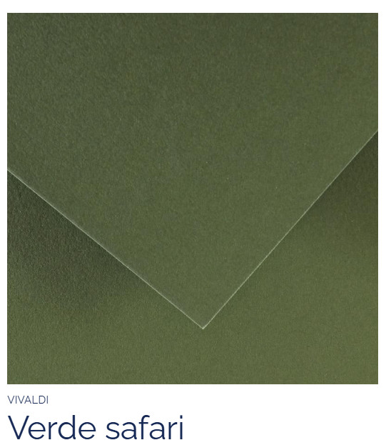 PAPEL CANSON VERDE SAFARI 185GR FOLHA A4