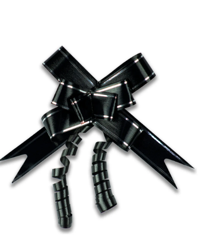 PCT DE LAÇO FACIL G COM 10 UND PRETO  28MM X 47CM