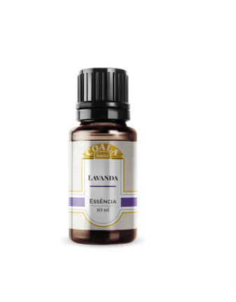 Essência Coala Home Lavanda 10ml