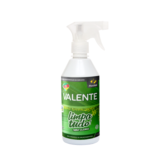 LP VALENTE LIMPA TUDO 500ML PISO CLEAN