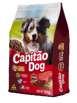 Capitão Dog 