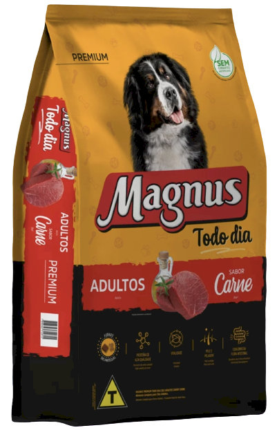 Magnus Todo Dia