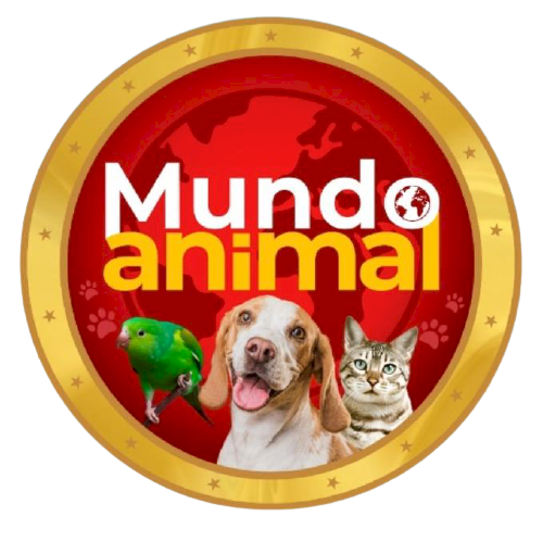 Mundo Animal Rações 