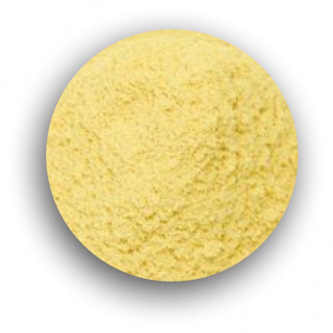 Cebola em pó 