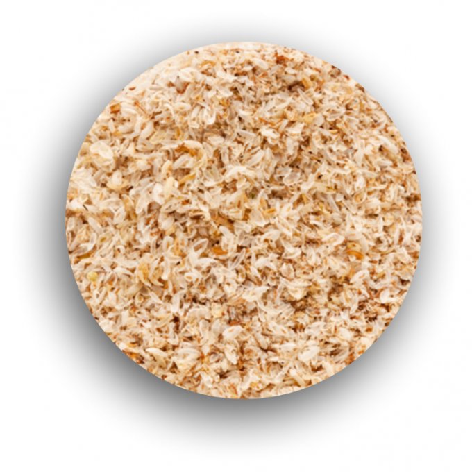 Psyllium