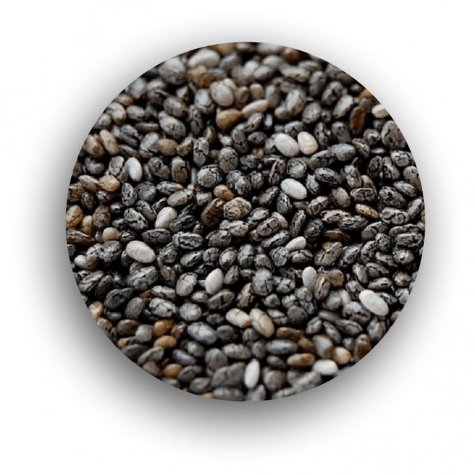 Semente de chia