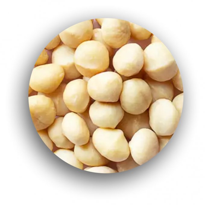 Macadâmia 