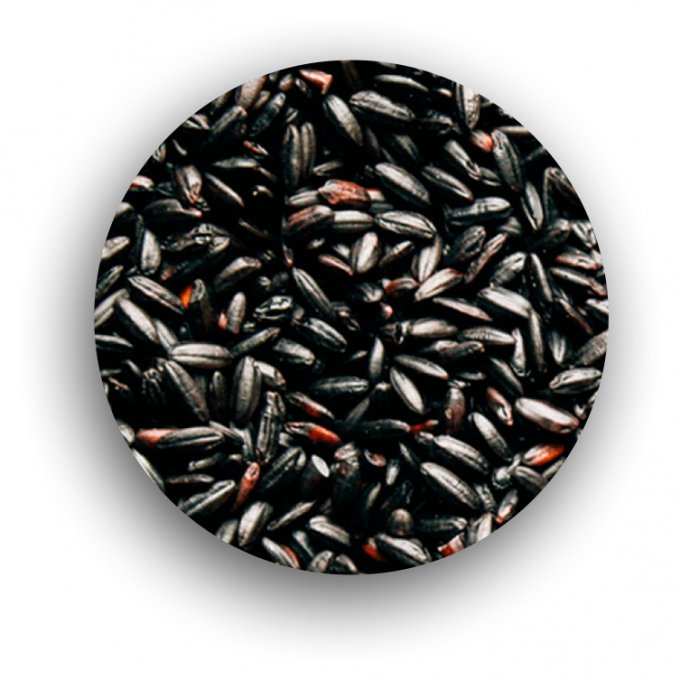 Arroz Negro