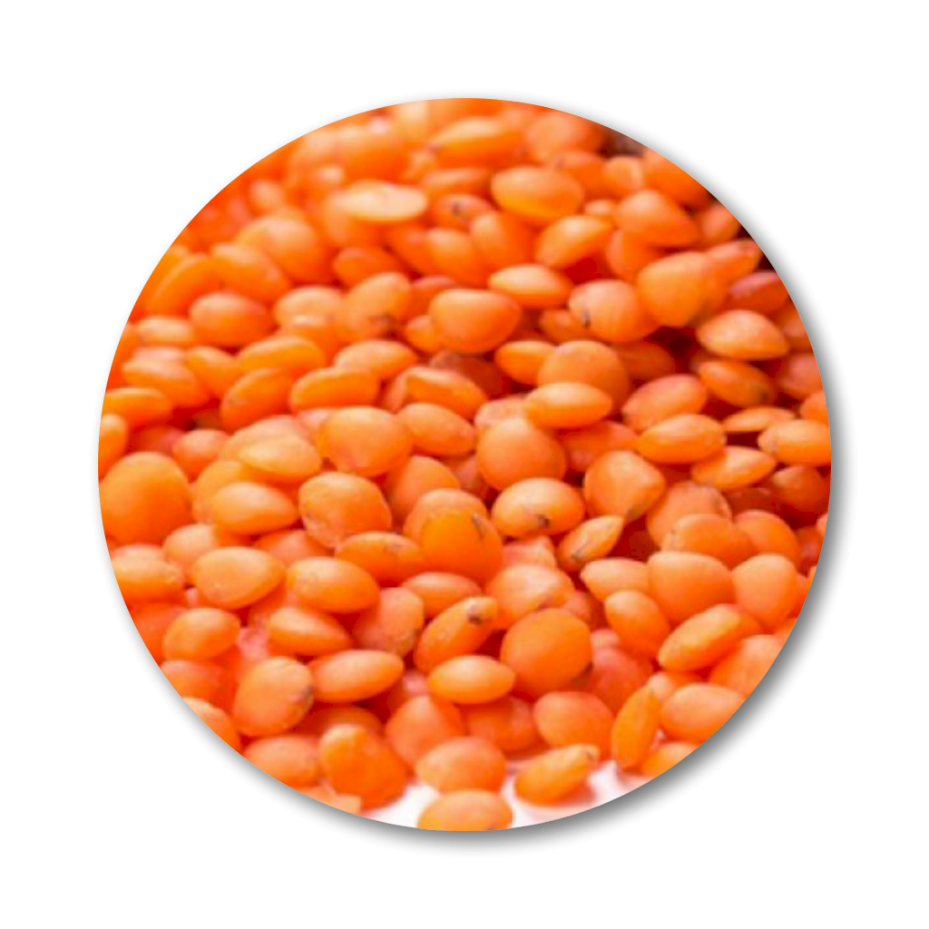 Lentilhas Vermelhas