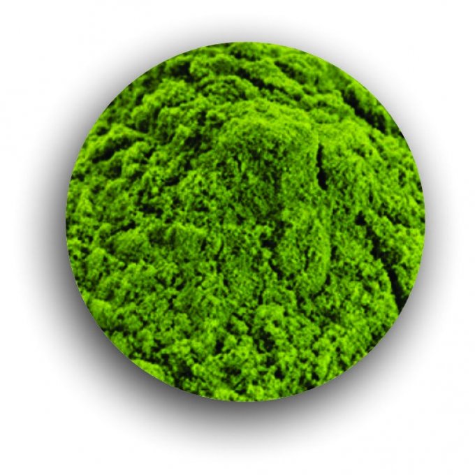 Chlorella em pó 