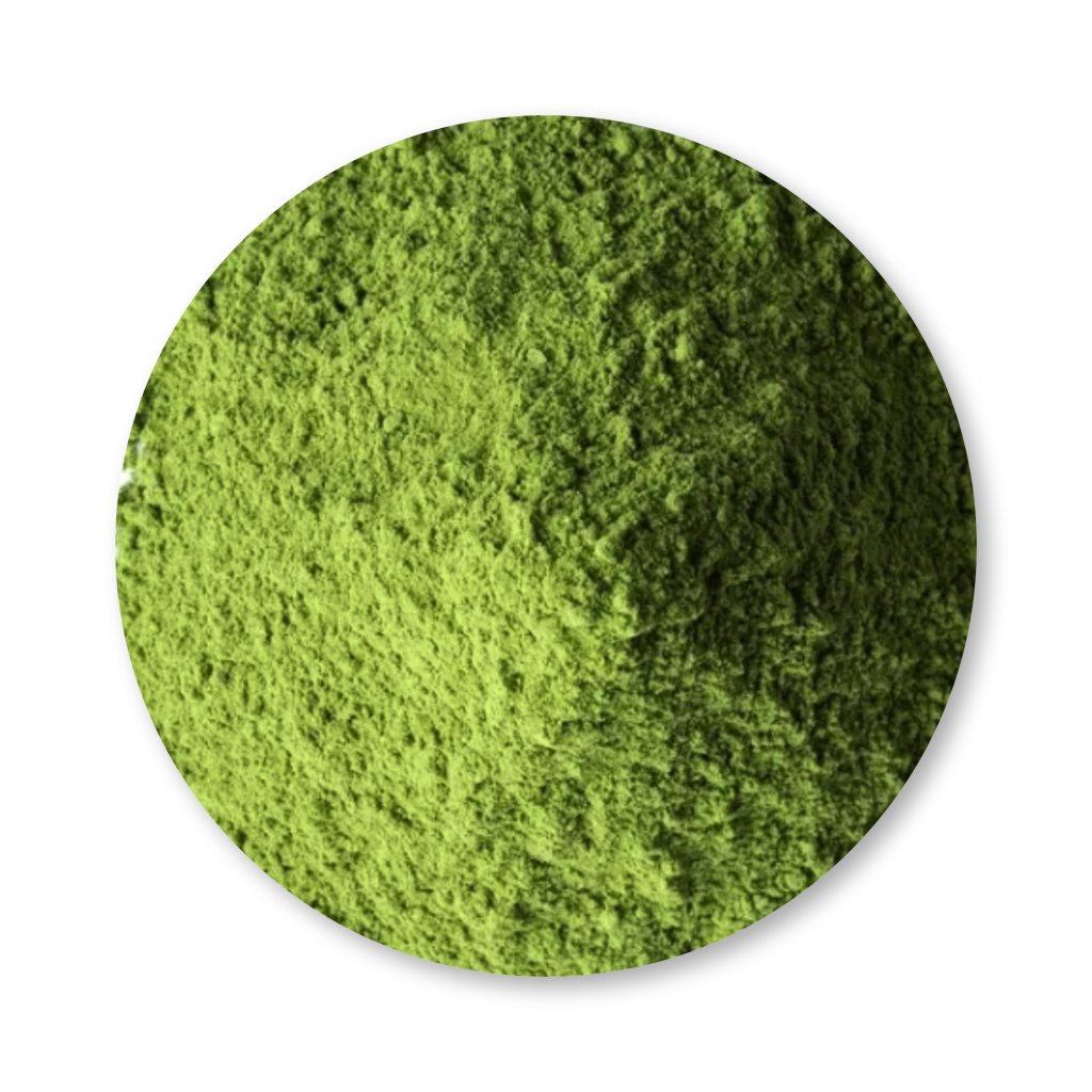 Moringa em Pó