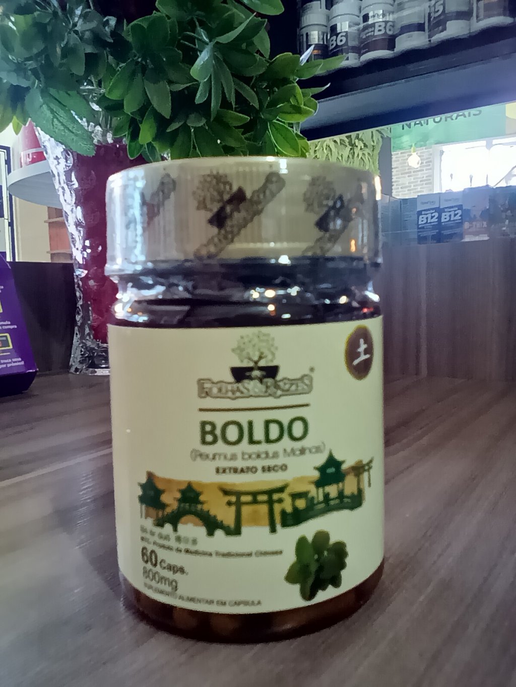Boldo Folhas&Raízes 