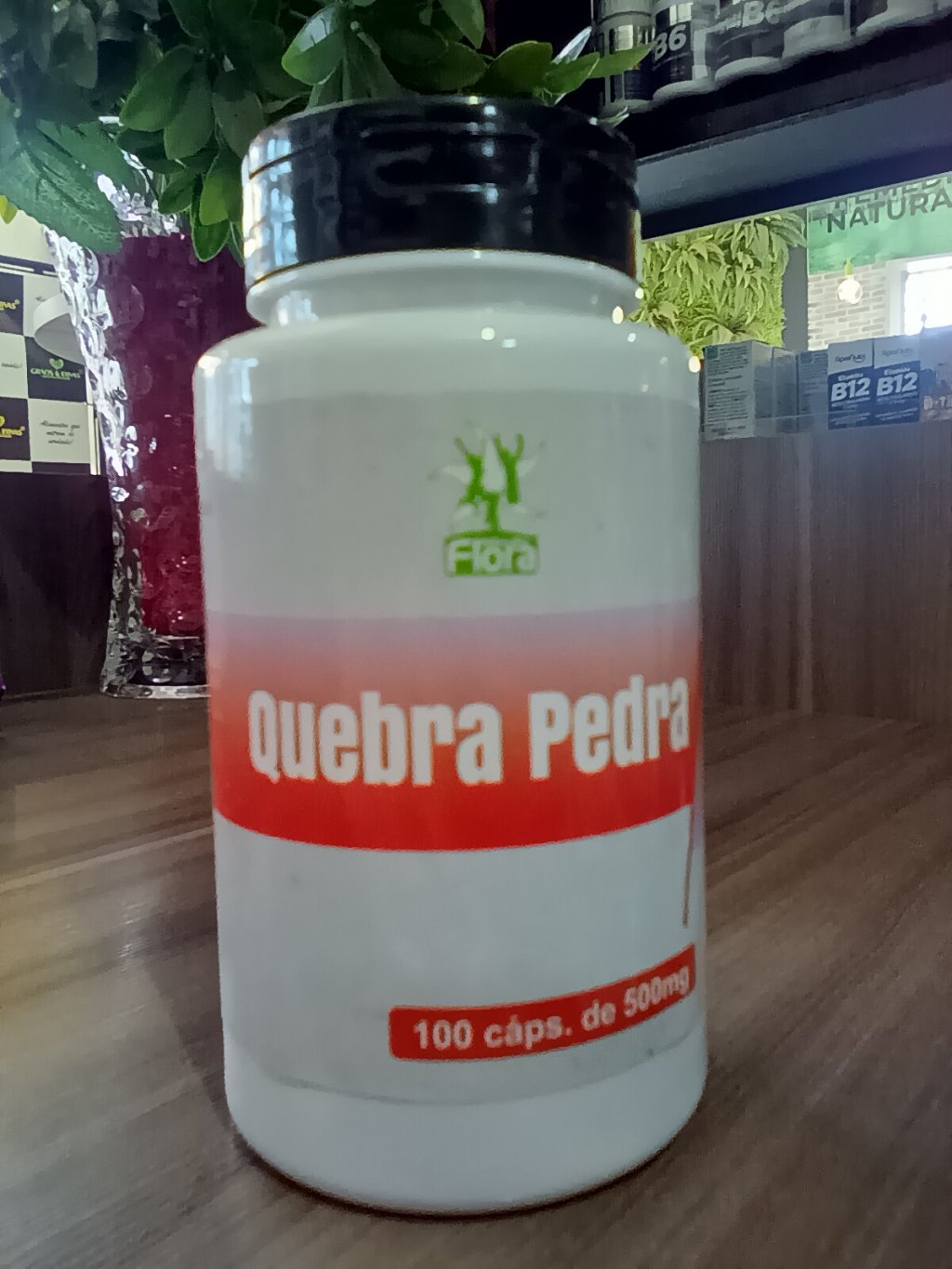 Quebra Pedra -MedicFlora 