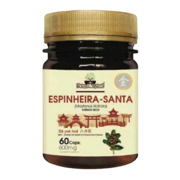 Espinheira Santa- Folhas&Raízes