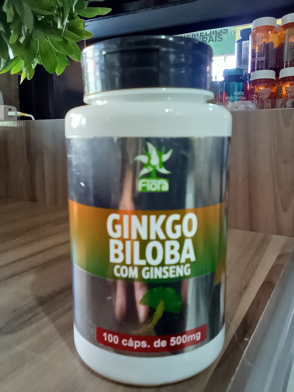 Ginkgo Biloba com Ginseng MedicFlora