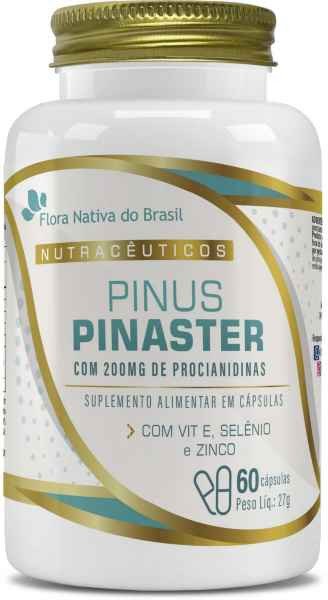 Pinus Pinaster Flora Nativa do Brasil