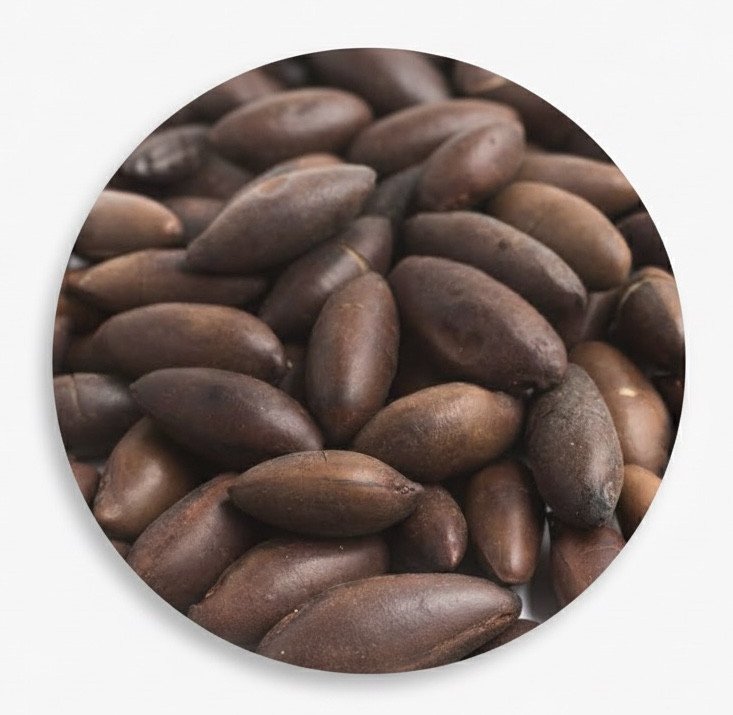Castanha de Baru