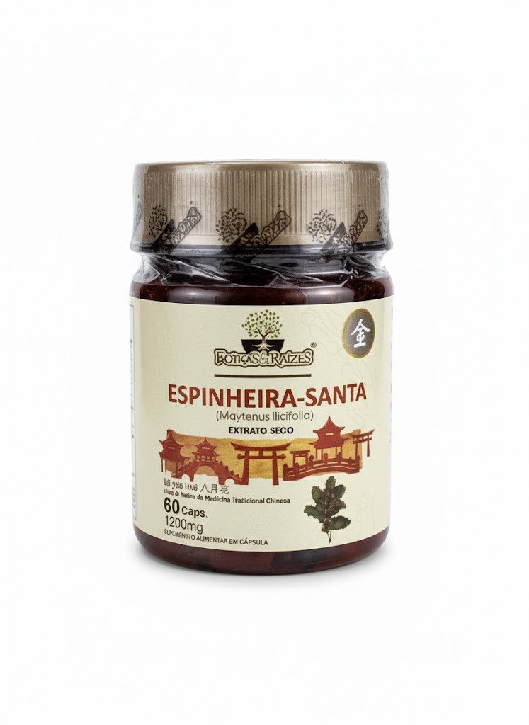 Espinheira Santa- Folhas&Raízes
