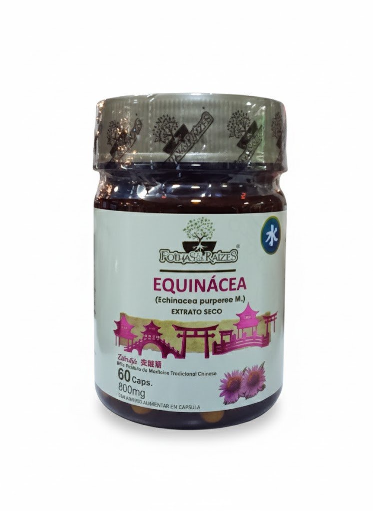 Equinácea - Folhas&Raízes