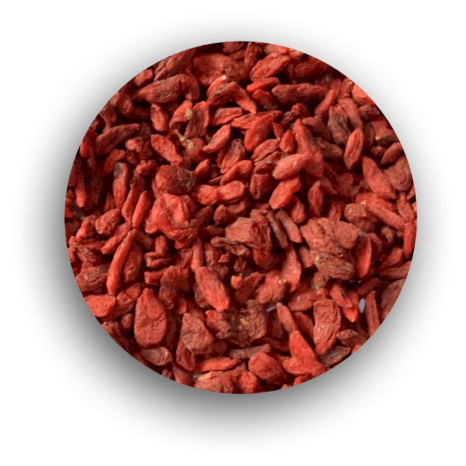 GOJI BERRY 