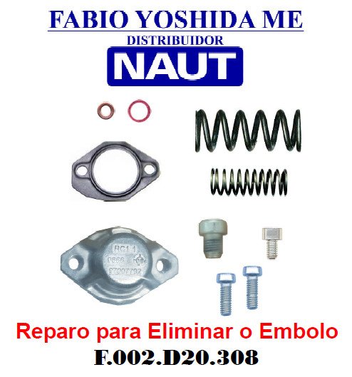 Reparo para Eliminar o Embolo F.002.D20.308 F.002.D20.311 F002D20311 F002D20308