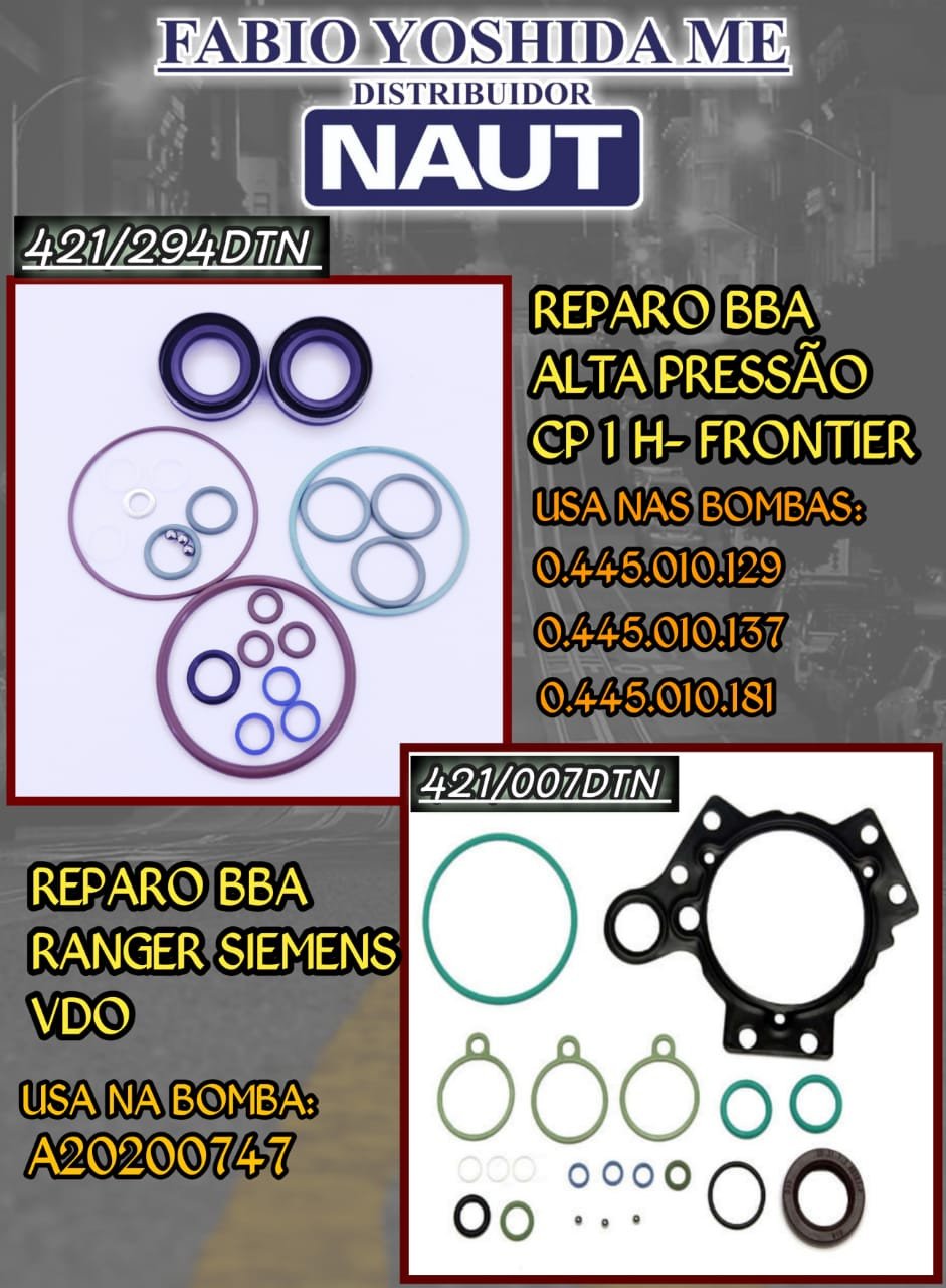 Reparo da Bomba de Alta Ranger CP1HSiemens VDO / Continental 77548 A2C200000745