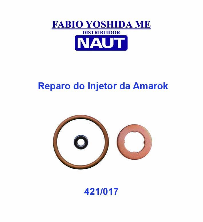 Reparo do Injetor da Amarok 2.0 - 0.445.116.034 0.445.116.035