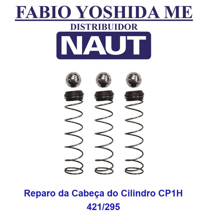 Reparo da Cabeça do Cilindro da Bomba CP1H