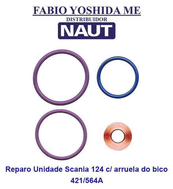 Reparo da Unidade Scania 124  - Anéis Externo c/ Arruela do Bico