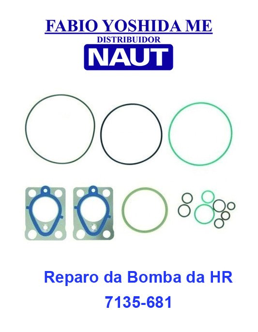 Reparo da Bomba da HR / Bongo / Sprinter 7135/681