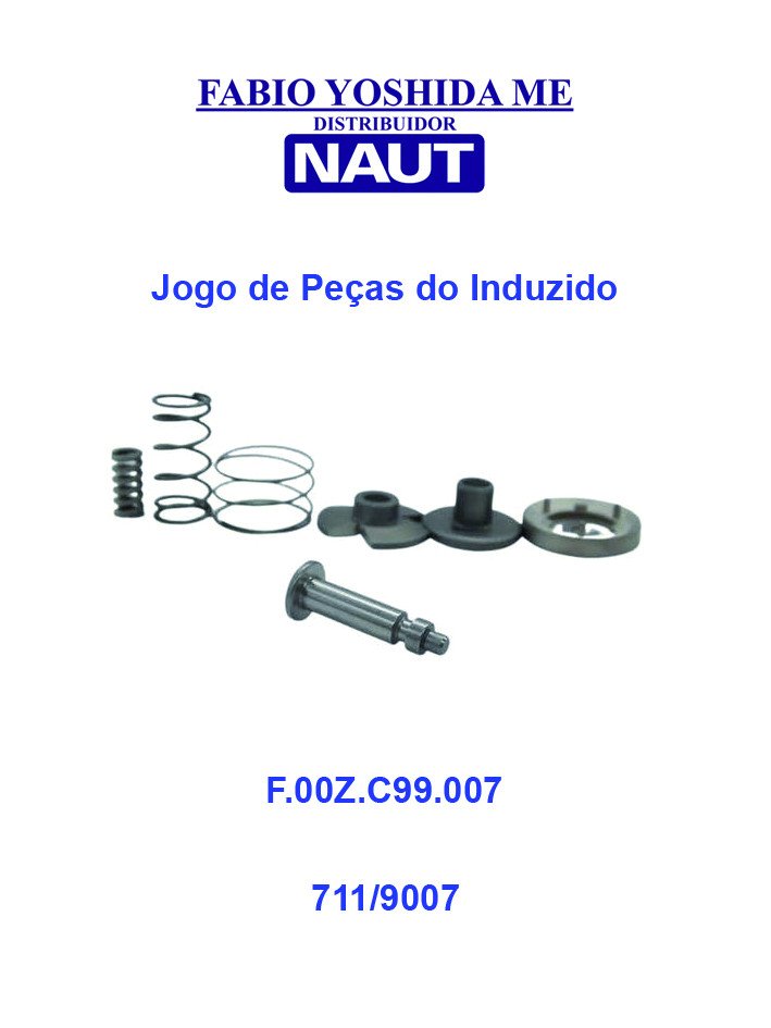 Jogo de Peças do Induzido F.00Z.C99.007