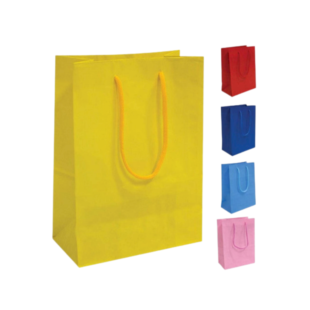 SACOLA PAPEL COLOR 16X26