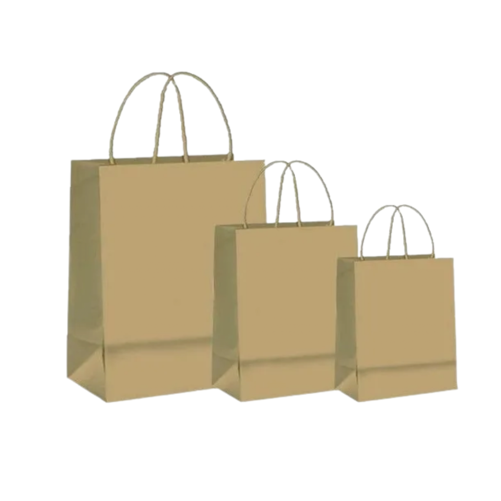 SACOLA DE PAPEL KRAFT C/50