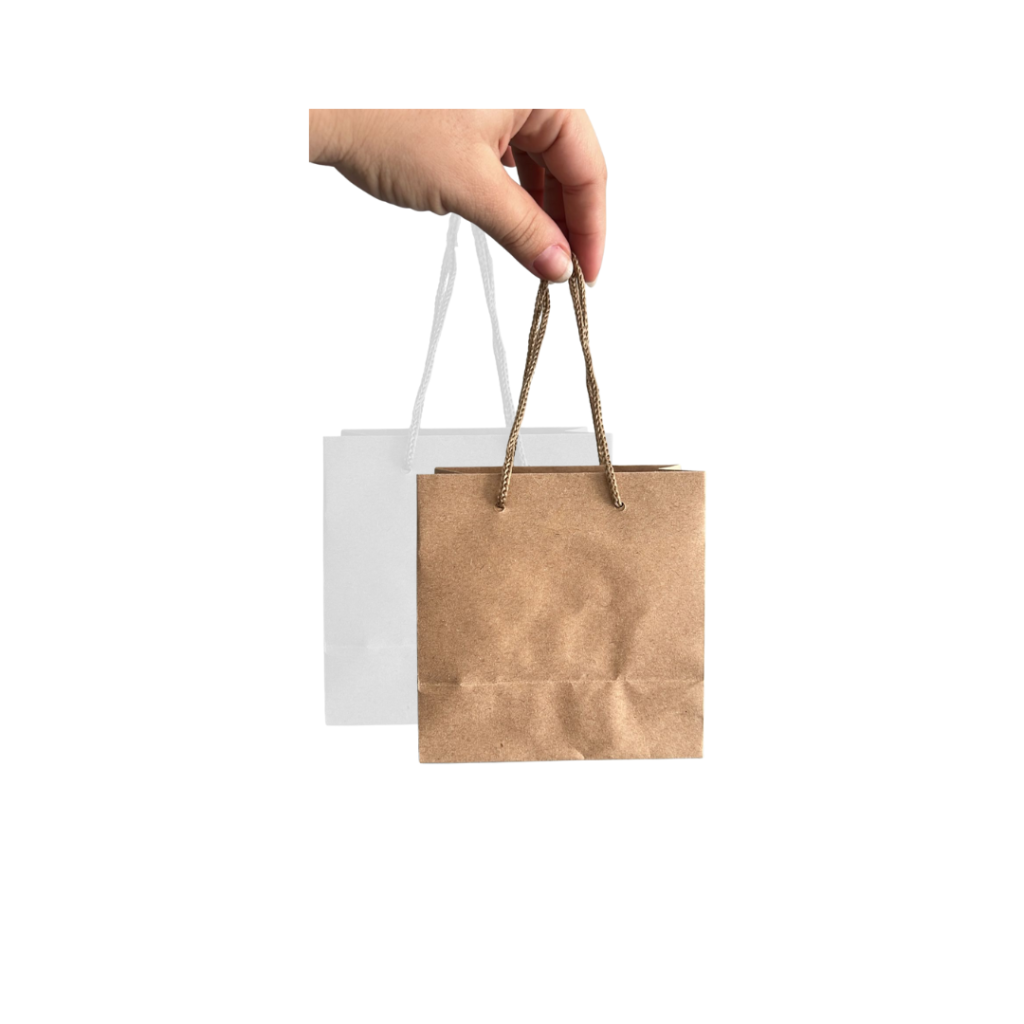 SACOLA PAPEL COLOR 11X11