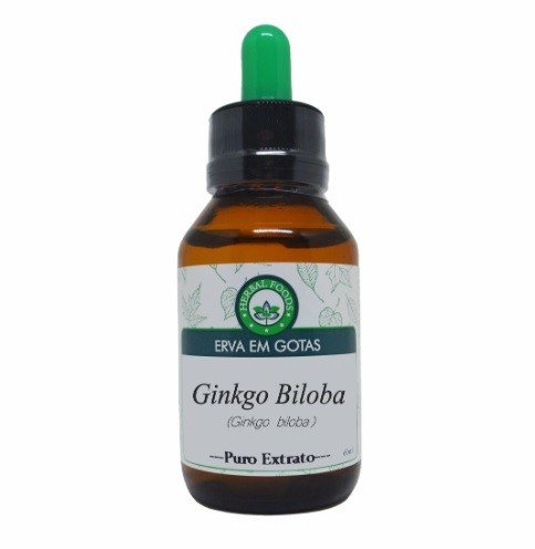 GINKGO BILOBA