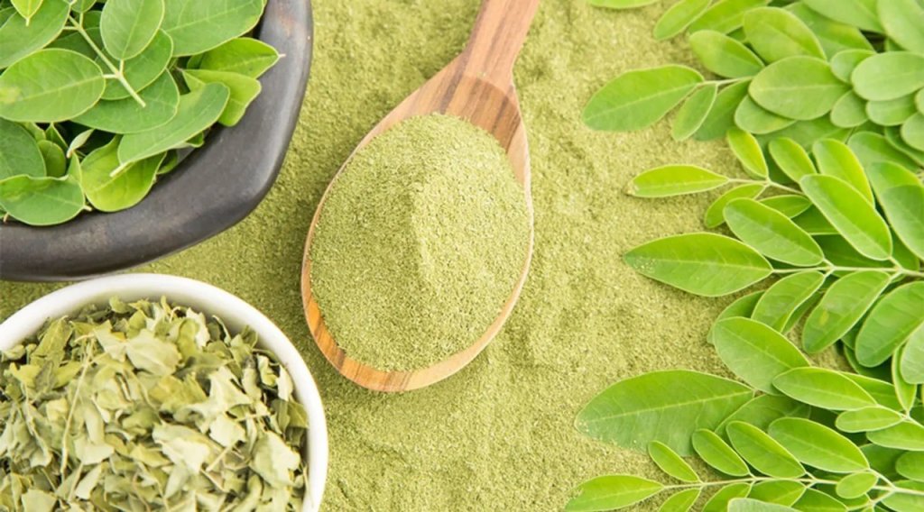 Moringa em pó 