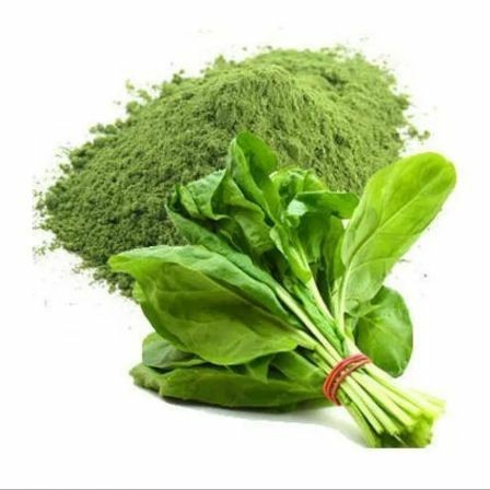 FARINHA DE ESPINAFRE (ESPINAFRE EM PÓ)