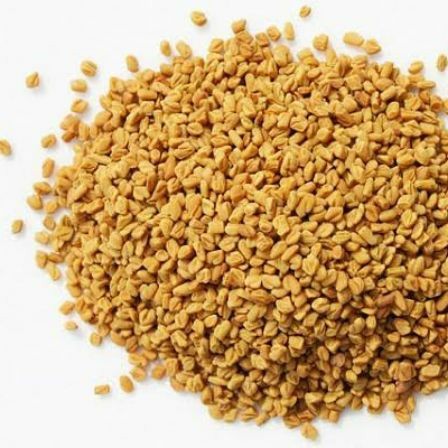 FENO GREGO (SEMENTE)