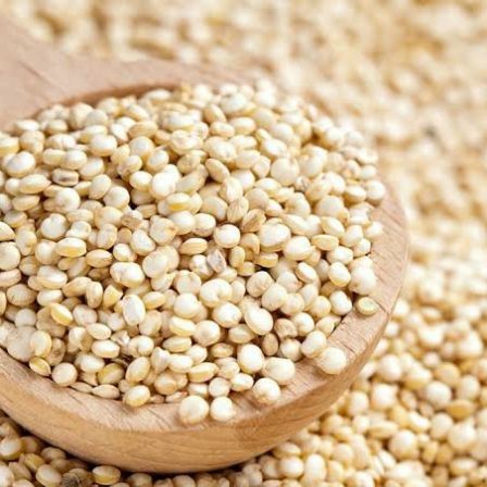 QUINOA BRANCA EM GRÃO (QUINUA)