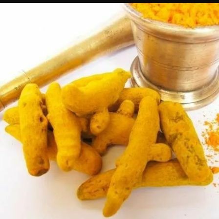 AÇAFRÃO DA TERRA - RAIZ DESIDRATADA