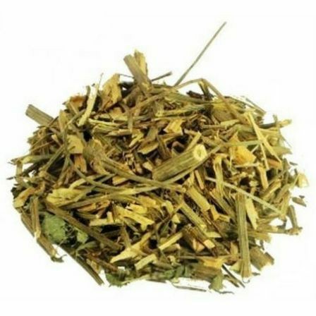 CIPÓ CRUZ (TALOS DO CRAJIRU)