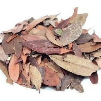 INSULINA (PEDRA UME CAH)