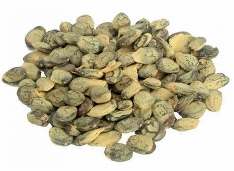 UMBURANA DE CHEIRO SEMENTES