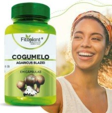 COGUMELO DO SOL AGARICUS 600MG 60CAPS FITOPLANT